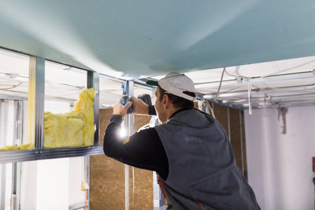 Best Insulation Inspection Services  in Richwood, TX